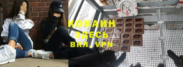 PSILOCYBIN Краснослободск